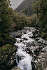 Milford Sound in New Zealand