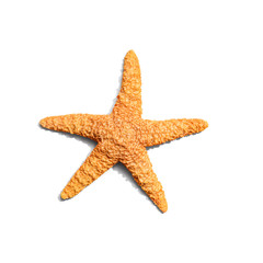 Summer concept with starfish overhead view - flatlay