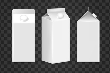 Realistic blank  milk box of product vector
