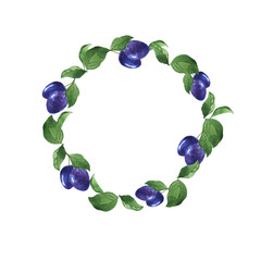 Blue plum berries and green leaves frame isolated on white background. Hand drawn watercolor illustration.