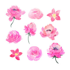 Decorative cute pink flowers collection. Hand drawn watercolor illustration.