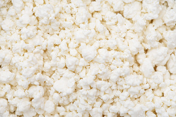 Close-up, macro freshness cottage cheese as background, milk curd, top view