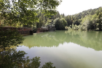Fototapeta na wymiar Lake of a barrage in a forest