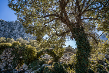 Termessos ancient city. Termessos is one of Antalya -Turkey's most outstanding archaeological sites. Termessos ancient city the amphitheatre. Turkey