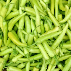 Pimiento fresco verde