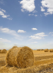 A field with straw bales after harvest on the sky background