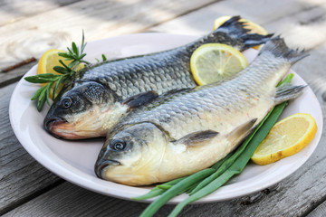 Fresh fish carp on a plate