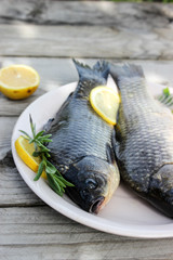 Fresh fish carp on a plate