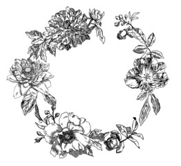 Rose, peony, lotus; dahlia and tulip hand-drawn engraving illustration.