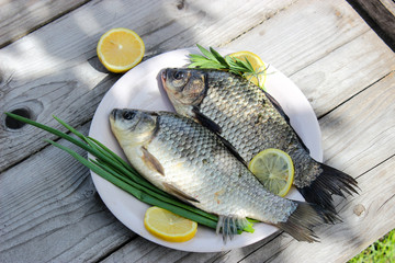 Fresh fish carp on a plate