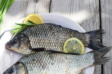 Fresh fish carp on a plate