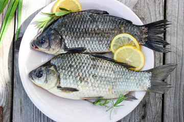 Fresh fish carp on a plate