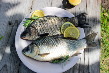 Fresh fish carp on a plate