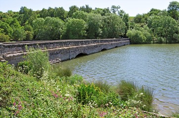 Fototapeta na wymiar Bridge in Ulley Country Park, Rotherham, in May 2020. 