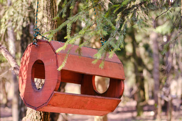 An oval shaped wooden feeder hangs on a tree in the park
