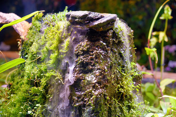 Decorative waterfall with green moss and grass on a slope