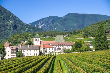 splendid vineyards of the abbey of novacella with ancient alpine monastery, producer of delicious...