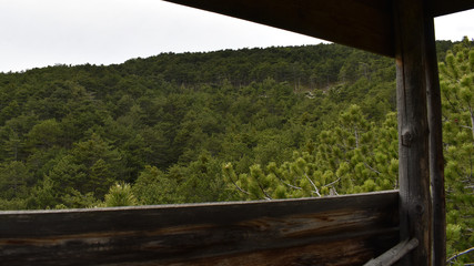 Ausblick aus Hochstand für die Jagd im Jagdrevier im Föhrenwald