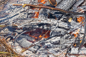 Burning trimmings and wood from the cut forest.