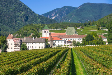 splendid vineyards of the abbey of novacella with ancient alpine monastery, producer of delicious...