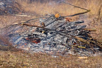 Burning trimmings and wood from the cut forest.