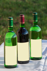 Three wine bottles - red and white standing on white mat.