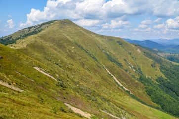 Fototapeta premium Colorful landscape of the mountain slope with multicolored grass overlooking the beautiful Carpathian mountains, Ukraine