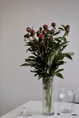 peonies vase with flowers glass on the table evening flower love beautiful dinner party restaurant food together 