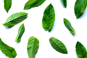 Collection of fresh mint leaves isolated on white background.