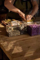Girl Making Florarium