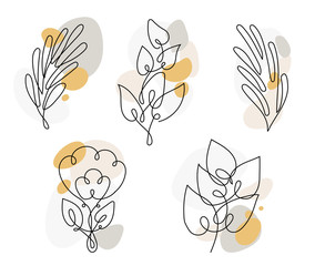 Leaf line art. Abstract plant illustration on white background.