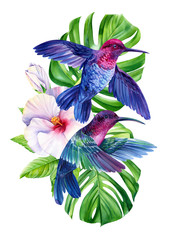 watercolor composition with hummingbirds and tropical plants, green leaves, hibiscus on an isolated white background, hand drawing © Hanna