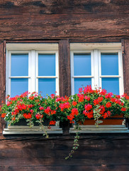 Fototapeta na wymiar Typical window of wooden Alpine chalet. Wooden hut, red flowers in window. Traditional Alpine architecture. Alps. Alpine hut. Flower decoration. Vertical photo.