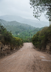 camino boscoso de vegetación serrana, vegetacion espesa caminos de tierra