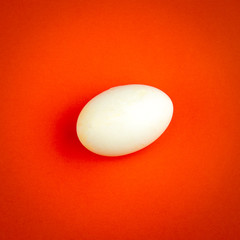 Minimalism concept of white flat lay with one egg isolated on red paper textured background.