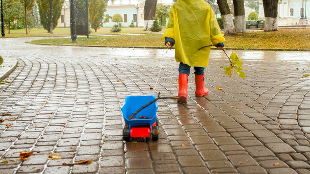 Closeup photo of little boy pulling hif toy truck in park on rainy autumn day