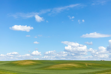 Green grass with small hills field and blue sky with clouds