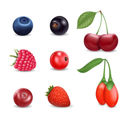 Realistic Detailed 3d Different Berries Set. Vector