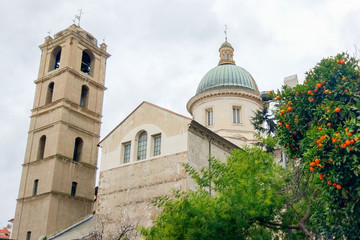 Cathedral bell tower and tangerine tree in the historic center of Savona, Liguria, Italy