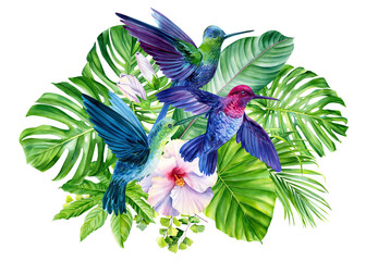 watercolor composition with hummingbirds and tropical plants, green leaves, hibiscus on an isolated white background, hand drawing © Hanna