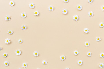 Frame made of various chamomile flowers on a beige background. Flat lay, top view, copy space. Daisy in circle shape pattern. Flat lay hello spring and summer time with chamomile flowers