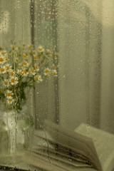 rain on the window