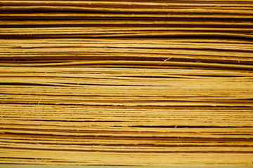 Laminas de Guatambú 2