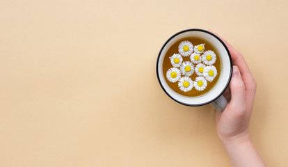Fototapeta na wymiar Woman Hand with Ceramic Mug of chamomile tea with flowers on a beige background, top view with copy space for your design. Herbal medicine minimal concept. Flat Lay. Close up of tea time.