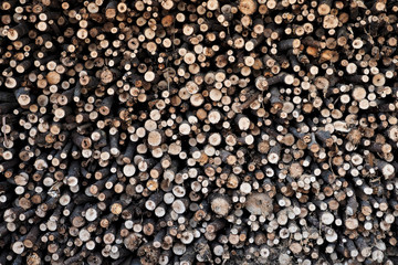 Branches and small tree trunks cut and stacked. Firewood.