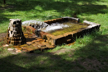 A gushing spring in the woods. Krywald in Poland.