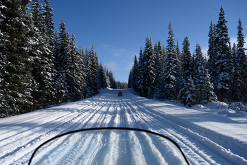Snowmobiles along a snow covered trail, Sun Peaks Resort, Sun Peaks, British Columbia, Canada