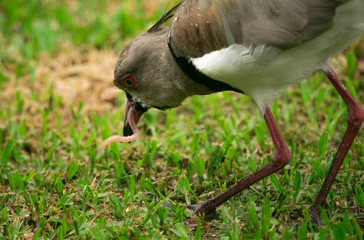 Tero lunching