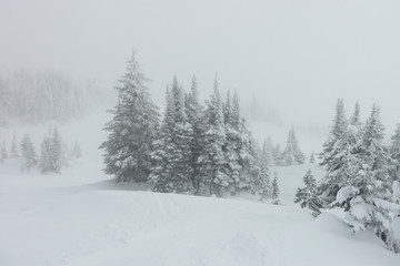 Scenic view of snow covered mountainside at ski resort, Sun Peaks Resort, Sun Peaks, British...