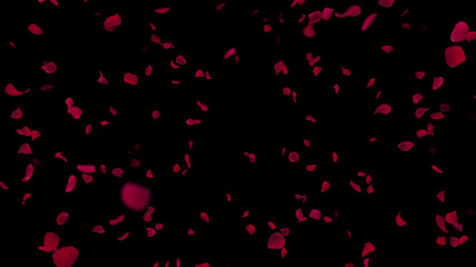 Fototapeta na wymiar Rose Petals Flower fluttering 3D illustration background